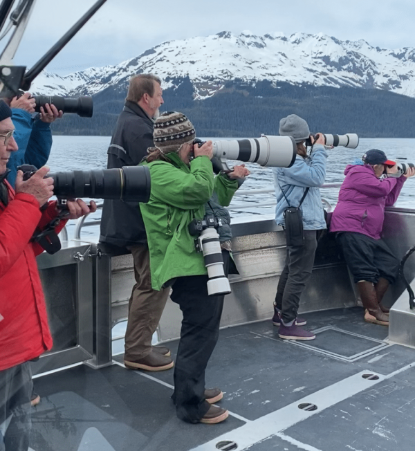 Photography tours prince william sound alaska