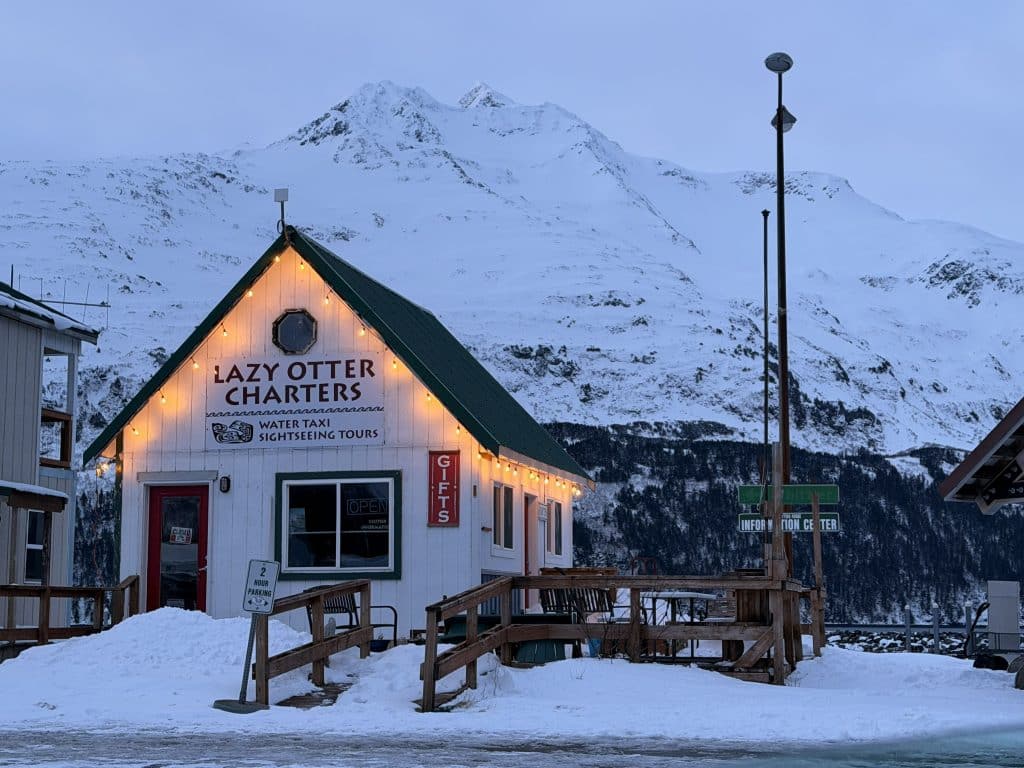 Lazy Otter Shop
